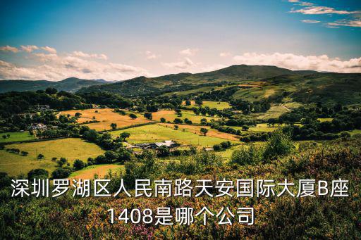 深圳市千佳行貿(mào)易有限公司，深圳羅湖區(qū)人民南路天安國際大廈B座1408是哪個(gè)公司