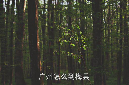 廣州怎么到梅縣