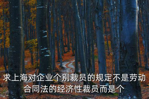 求上海對企業(yè)個(gè)別裁員的規(guī)定不是勞動(dòng)合同法的經(jīng)濟(jì)性裁員而是個(gè)