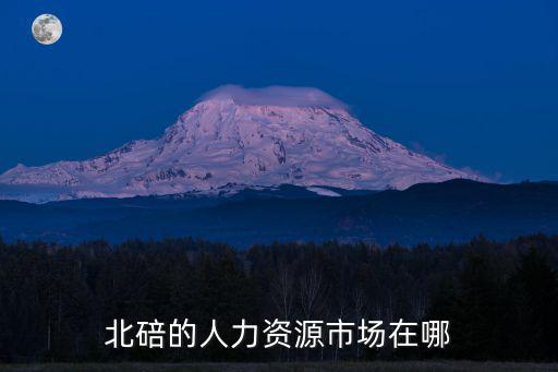 重慶市北碚人力資源，北碚人力資源市場和社會保障局在哪里呀