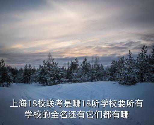 上海市第十八中學 曹磊，上海的18校聯考是指哪18所學校他們是全日制的專升本么