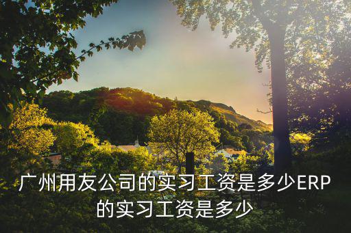 廣州用友公司的實習工資是多少ERP的實習工資是多少