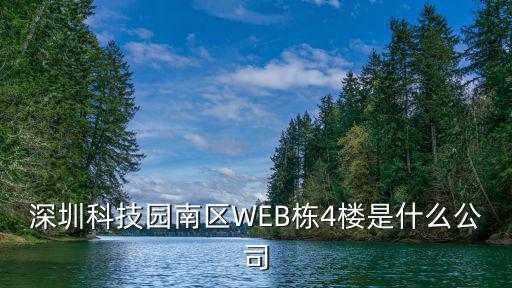 深圳科技園南區WEB棟4樓是什么公司