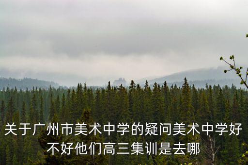 關于廣州市美術中學的疑問美術中學好不好他們高三集訓是去哪