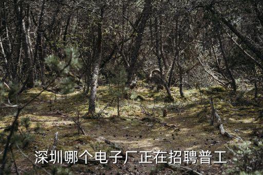 深圳哪個電子廠正在招聘普工