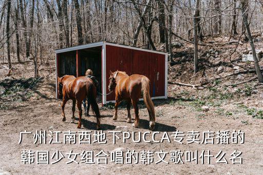 廣州江南西地下，江南西地鐵站哪個出口附近有地下街