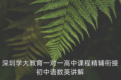 深圳學大教育一對一高中課程精輔銜接初中語數英講解