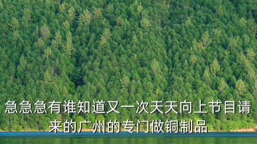 廣州西關(guān)恩寧路銅器店的網(wǎng)店地址，廣州恩寧路偉興銅器店的老板叫什么拜托啦謝謝大神