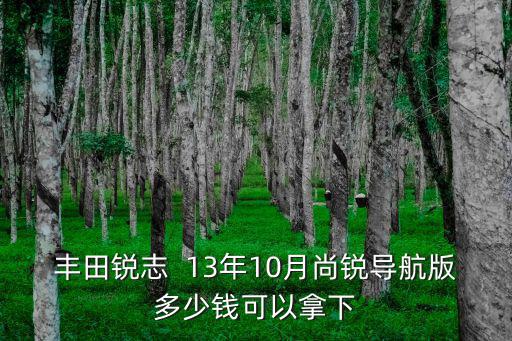 豐田銳志  13年10月尚銳導航版多少錢可以拿下