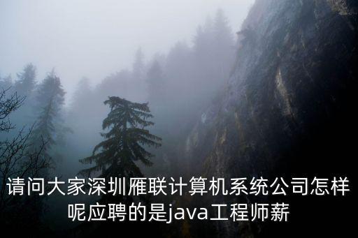 深圳市雁聯計算系統有限公司北京，深圳雁聯北京分公司環境待遇怎么樣