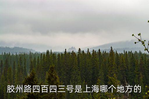 上海市滄州路138號，上海金科路2966號北樓509室