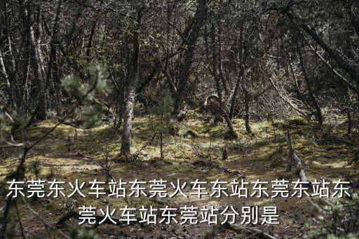 東莞東火車(chē)站東莞火車(chē)東站東莞東站東莞火車(chē)站東莞站分別是