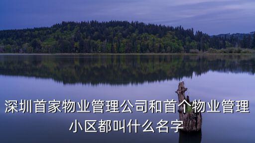 深圳首家物業(yè)管理公司和首個(gè)物業(yè)管理小區(qū)都叫什么名字