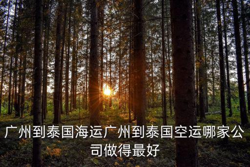 廣州到泰國海運，廣州到泰國海運廣州到泰國空運哪家公司做得最好