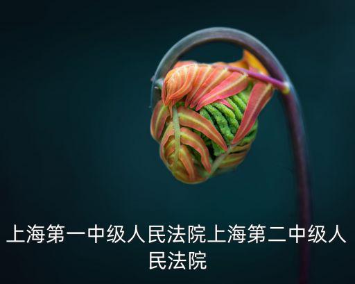 上海市第一中級人民，上海市第一中級人民法院執行局局長是誰