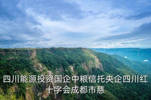 成都市慈善總會理事長，有誰知道成都哪里有慈濟的部門啊