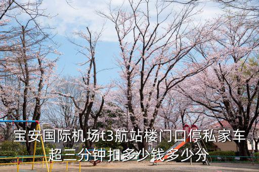 寶安國際機場t3航站樓門口停私家車超三分鐘扣多少錢多少分