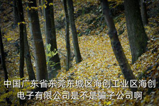 中國(guó)廣東省東莞東城區(qū)海創(chuàng)工業(yè)區(qū)海創(chuàng)電子有限公司是不是騙子公司啊