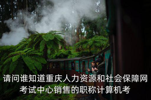 請問誰知道重慶人力資源和社會保障網(wǎng)考試中心銷售的職稱計算機考
