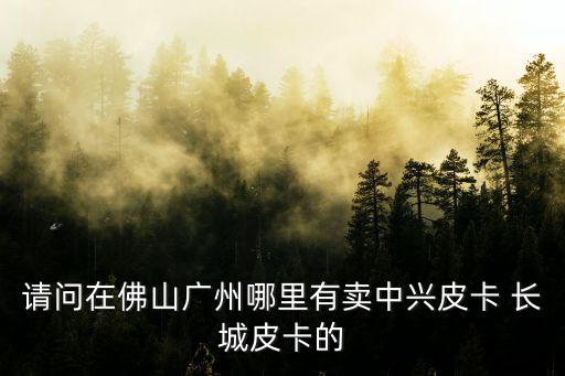 請問在佛山廣州哪里有賣中興皮卡 長城皮卡的