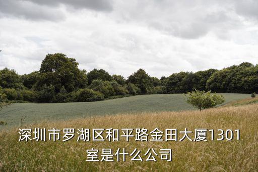 深圳市羅湖區(qū)和平路金田大廈1301室是什么公司