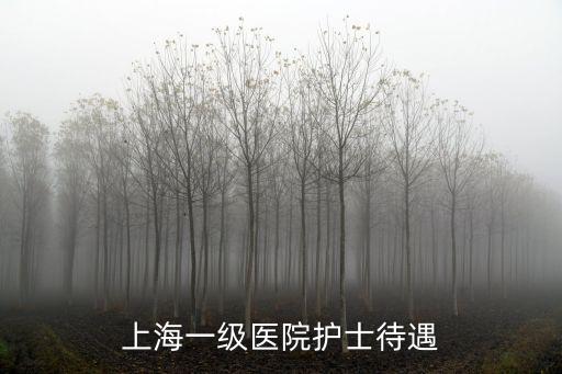 上海市第一人民醫院 利潤，市人民醫院一個月收入多少