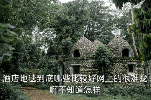 酒店地毯到底哪些比較好網(wǎng)上的很難找啊不知道怎樣