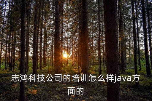 深圳志鴻科技怎么樣，志鴻軟件 怎么樣