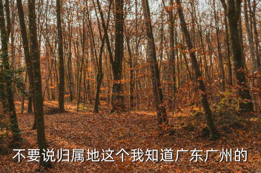 不要說歸屬地這個我知道廣東廣州的