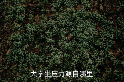 大學(xué)生壓力源自哪里