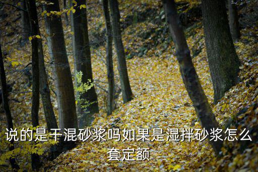 重慶市濕拌砂漿砂規定，砂漿拌制質量要求是什么