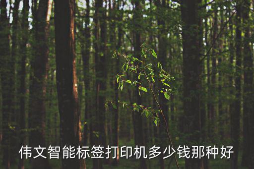 偉文智能標(biāo)簽打印機(jī)多少錢那種好