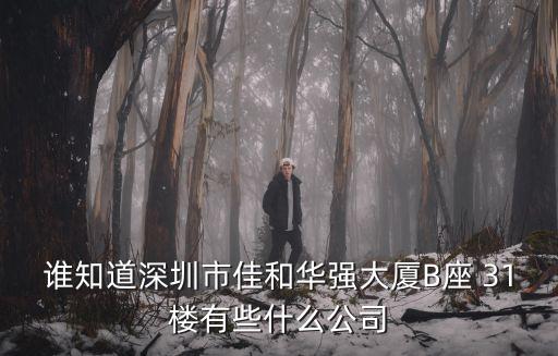 誰知道深圳市佳和華強大廈B座 31樓有些什么公司