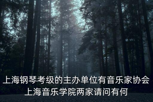 上海鋼琴考級的主辦單位有音樂家協會上海音樂學院兩家請問有何