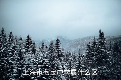 上海市七寶中學屬什么區