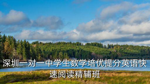 深圳一對一中學生數(shù)學培優(yōu)提分英語快速閱讀精輔班