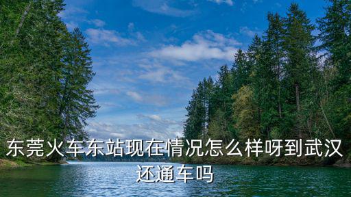 東莞火車東站現在情況怎么樣呀到武漢還通車嗎