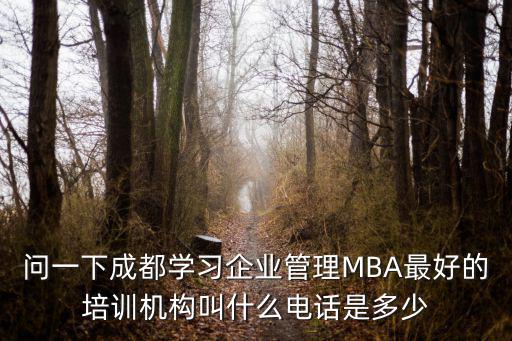 問一下成都學(xué)習(xí)企業(yè)管理MBA最好的培訓(xùn)機構(gòu)叫什么電話是多少