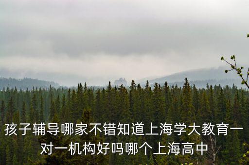 孩子輔導(dǎo)哪家不錯(cuò)知道上海學(xué)大教育一對一機(jī)構(gòu)好嗎哪個(gè)上海高中