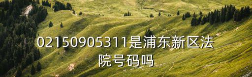 上海市金山區(qū)人民法院總機，上海市金山區(qū)法院在哪里