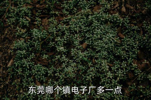 東莞電子廠那里最多，東莞那個(gè)地方電子廠多