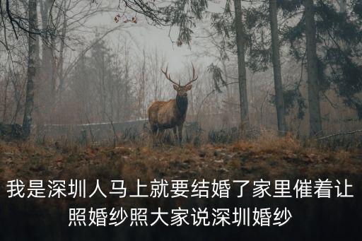 我是深圳人馬上就要結婚了家里催著讓照婚紗照大家說深圳婚紗