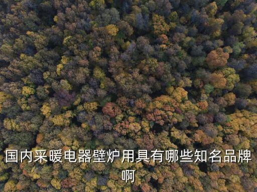 深圳伏羲氏科技有限公司，求解決方法小廠上班辭工到期了還要拖到月底才能結清和老板預支