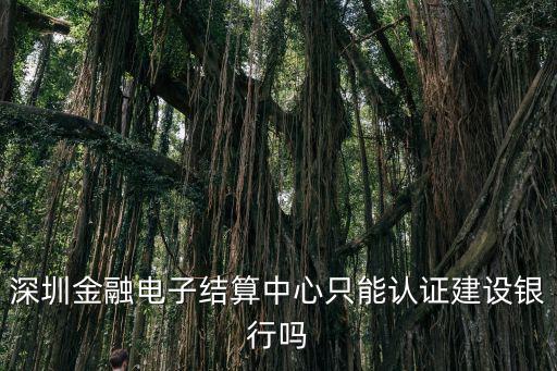 深圳金融電子結算中心只能認證建設銀行嗎
