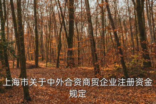 上海市工商登記規定，上海注冊公司可以一址多照嗎