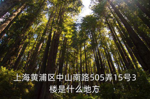 上海黃浦區中山南路505弄15號3樓是什么地方