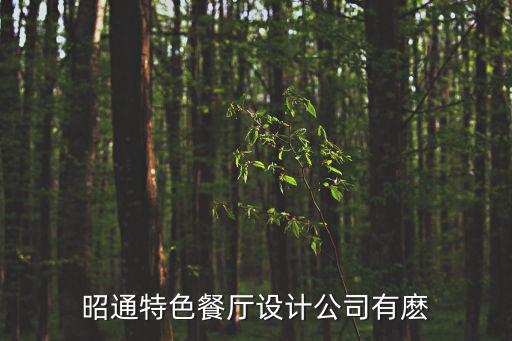 昭通特色餐廳設計公司有麼