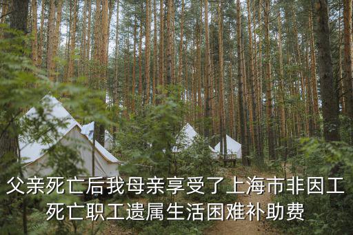 父親死亡后我母親享受了上海市非因工死亡職工遺屬生活困難補(bǔ)助費(fèi)