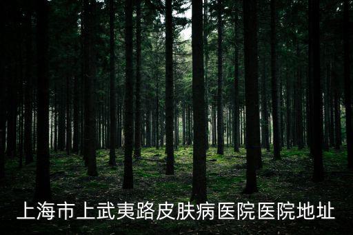 上海市上武夷路皮膚病醫院醫院地址