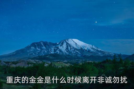 重慶市檔案局金金，重慶的金金是什么時候離開非誠勿擾